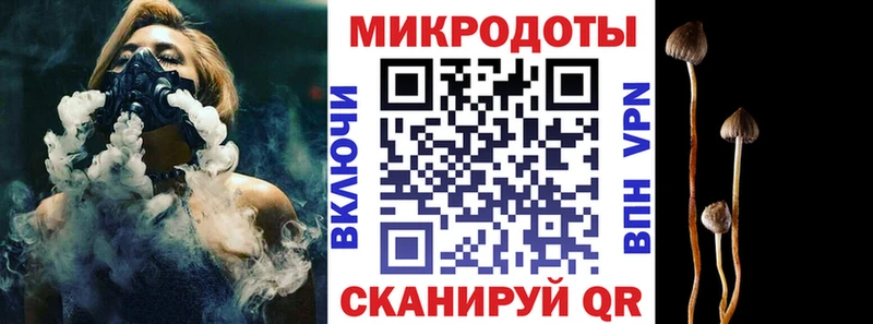 закладка  Малаховка  Галлюциногенные грибы Psilocybe 